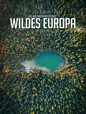 WILDES EUROPA